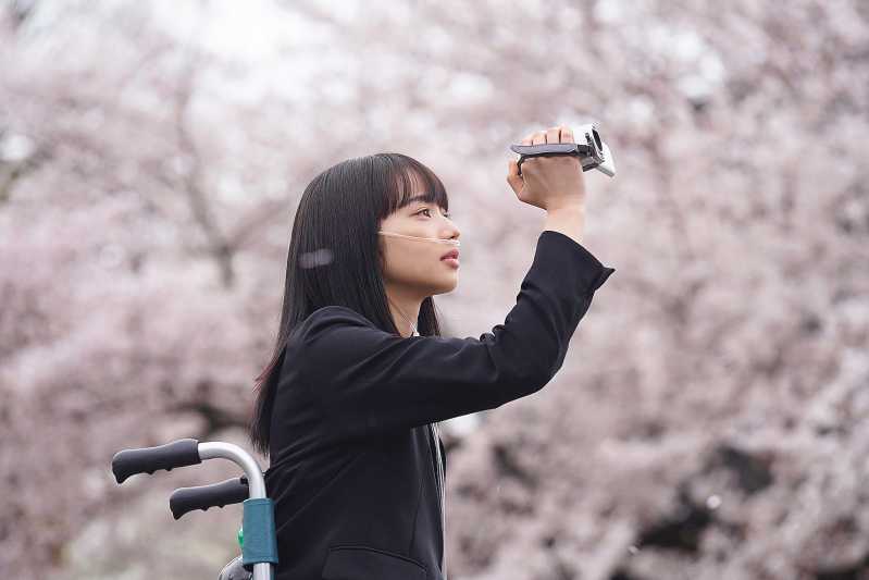 日本催泪爱情电影推荐《余命10年》 - 吾知舍