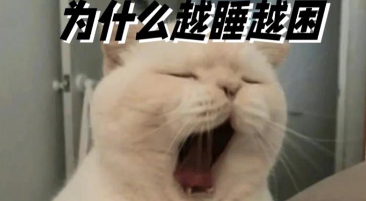 为什么睡觉，越睡越困？越睡越累？ - 吾知舍