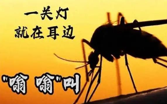 为什么开灯听不见蚊子叫，一关灯耳边都是嗡嗡声? - 吾知舍
