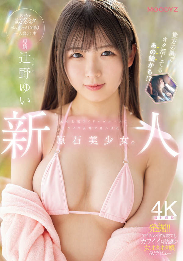 辻野ゆい(辻野唯)最新作品MIDA-228介绍及封面预览 - 吾知舍